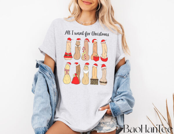 Dirty Christmas Shirts BaoHanTee, Naughty Santa Shirt, All I Want For Christmas Dirty Christmas Tee