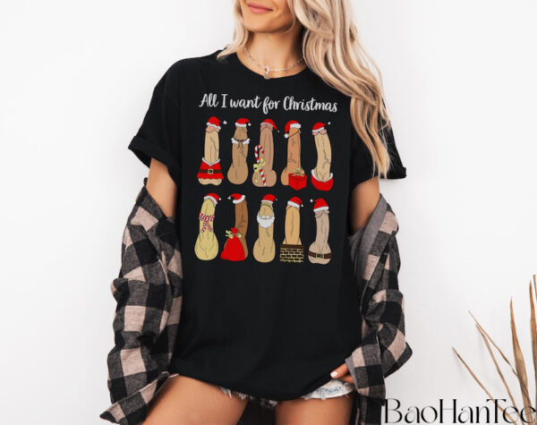 Dirty Christmas Shirts BaoHanTee, Naughty Santa Shirt, All I Want For Christmas Dirty Christmas Tee