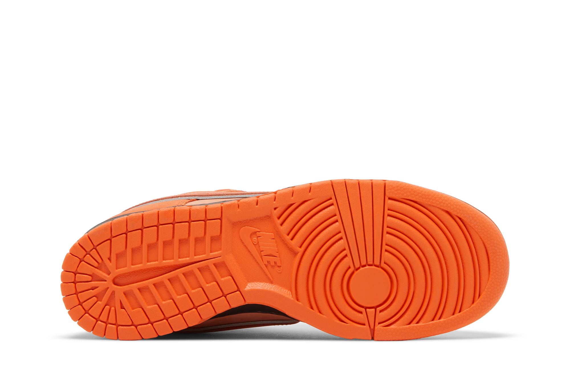 Concepts x Nike SB Dunk Low SP 'Orange Lobster' FD8776-800 - Image 4